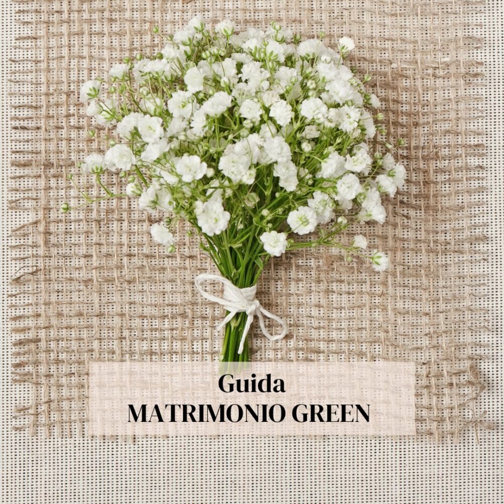 Il mio matrimonio green