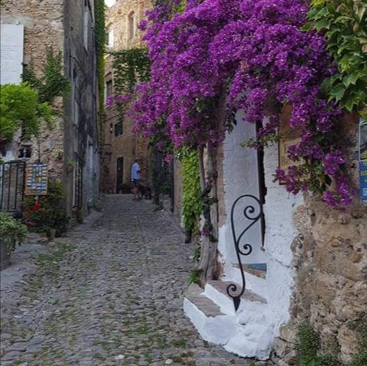 Bussana Vecchia: Il borgo sospeso nel tempo